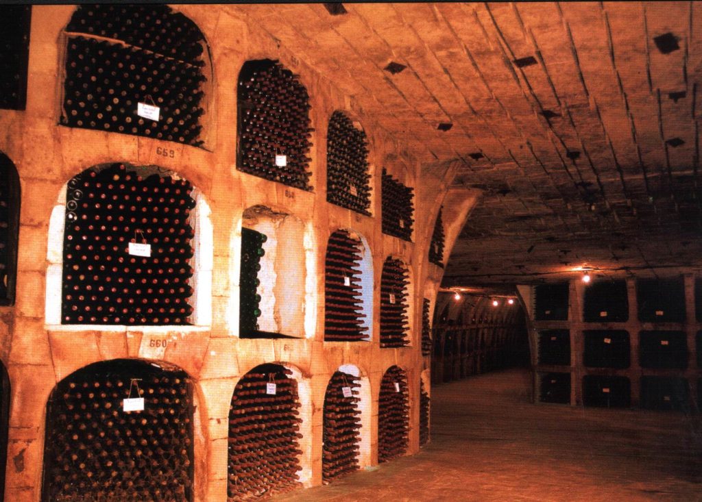 Савети о улагању у Фине Вине. Најбоља вина за улагање у 2023. - свеобухватан водич за улагања у вино