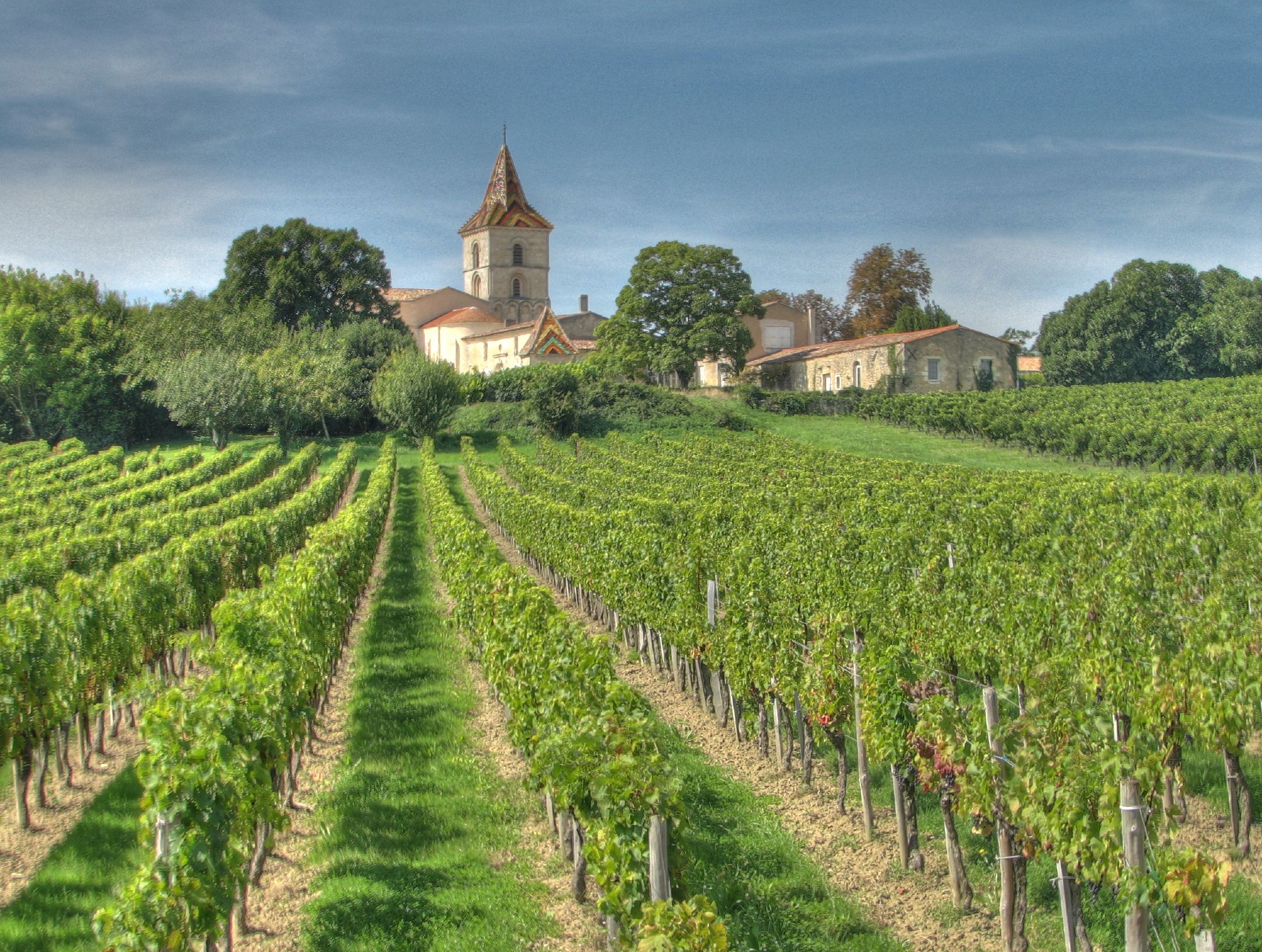 The region where the wine is produced is an important factor of determining the best wines to invest in 2025