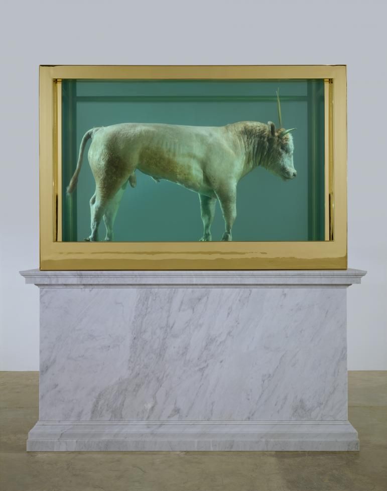 THE GOLDEN CALF by Damien hirst