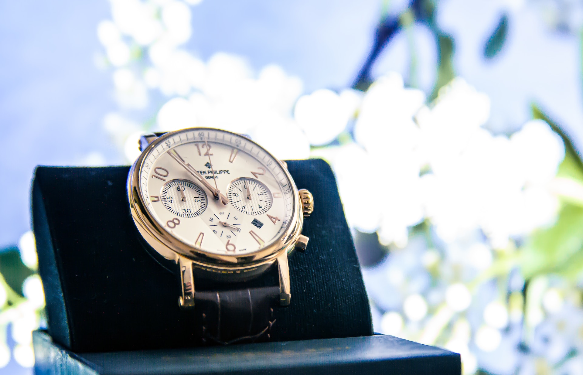 Top 9 Most Popular Patek Philippe Collections of watches